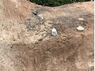 IMG_7969.jpeg