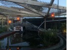 IMG_7575.jpeg
