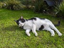 PXL_20240601_170302070.jpg