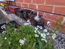PXL_20240602_131340045.MP.jpg