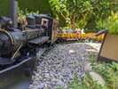 PXL_20240602_121731990.jpg