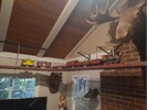 IMG_20220622_171156.jpg