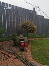 Polish_20240623_052742759.jpg