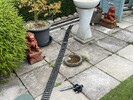 IMG_2236.jpeg