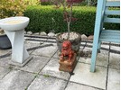 IMG_2237.jpeg