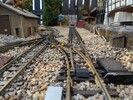 PXL_20240628_174738311.jpg