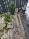 PXL_20240701_085234103.jpg