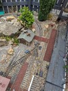 PXL_20240701_094404500.jpg