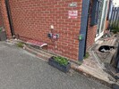 PXL_20240729_181219928.jpg