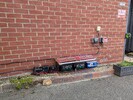 PXL_20240730_093401372.jpg