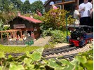 IMG_5559.jpeg