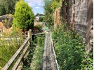 IMG_8150.jpeg