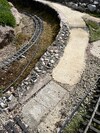 IMG_2415.jpeg
