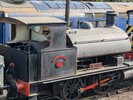 PXL_20240928_095627583.jpg