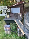IMG_0492.jpeg