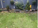 IMG_9050.jpeg