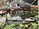 IMG_8168.jpeg