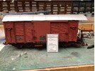 IMG_8255.jpeg
