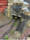 IMG_1586.jpeg