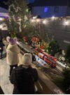 Youngsters Enjoy the railway at Ashburnau.JPG