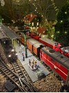 Ashburnau A full station .jpeg