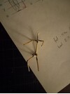 20250101_054152.jpg
