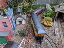 PXL_20250104_090820238.jpg