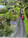IMG_1650.jpeg