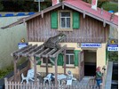 IMG_1808.jpeg