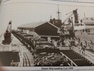 Steam ship loading coal.jpg Steam ship loading coal.jpg