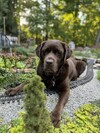 IMG_2802.jpeg