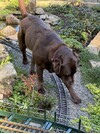 IMG_2754.jpeg