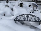 IMG_4099.jpeg