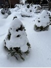 IMG_4092.jpeg