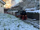 Copy of IMG_2125.jpg