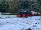 Copy of IMG_2152.jpg