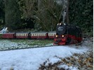 Copy of IMG_2168.jpg
