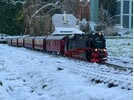 Copy of IMG_2197.jpg