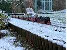 Copy of IMG_2203.jpg