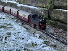 IMG_2239.JPG