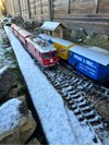 IMG_1789.jpeg