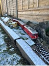 IMG_1788.jpeg