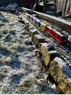 IMG_1794.jpeg