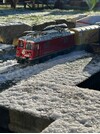 IMG_1798.jpeg