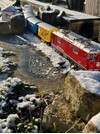 IMG_1799.jpeg