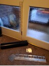 20250123_120236.jpg
