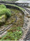 IMG_2700.jpeg