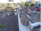 IMG_20250128_191317.jpg