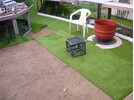 cleared2.jpg