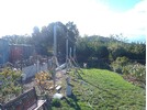 IMG_20250316_165707.jpg